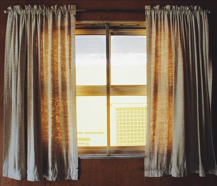 Window and Curtains